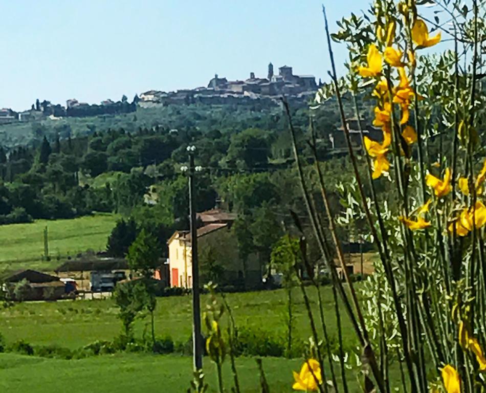 Appartamento Rustico Lucignano Kültér fotó